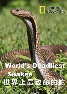 世界上最致命的蛇在线观看