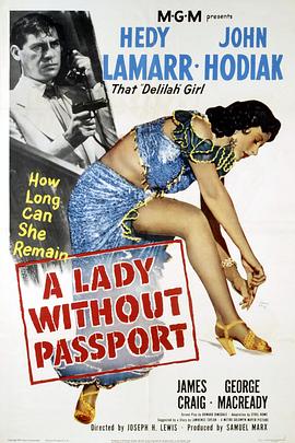 没有护照的女人的海报
