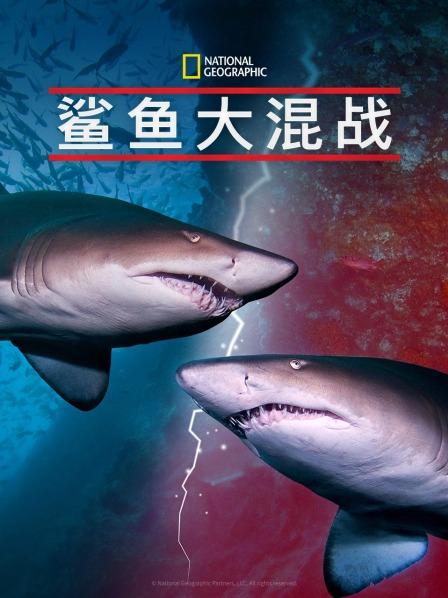 鲨鱼大混战的海报