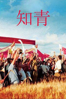 知青（2012）的海报